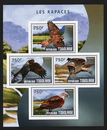 Togo 2014 stamps sheet raptors - 2014,