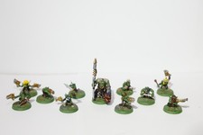 Warhammer 40K Orks Runtherd