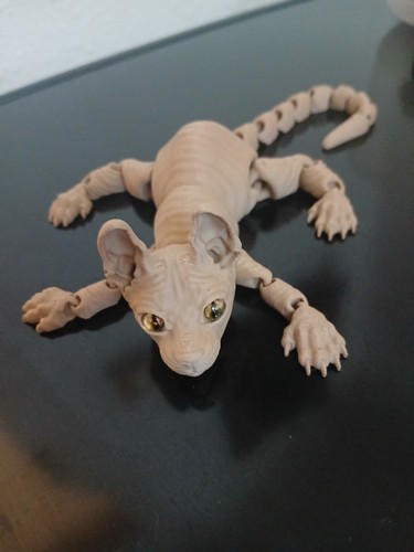 Sphynx cat sphinx printed - sphynx,