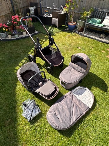 Mamas and papas ocarro - and,