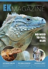EXOTICS KEEPER MAGAZINE - SEPTEMBER 2021- BLUE IGUANA, LEOPARD GECKO