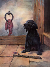 LABRADOR RETRIEVER DOG