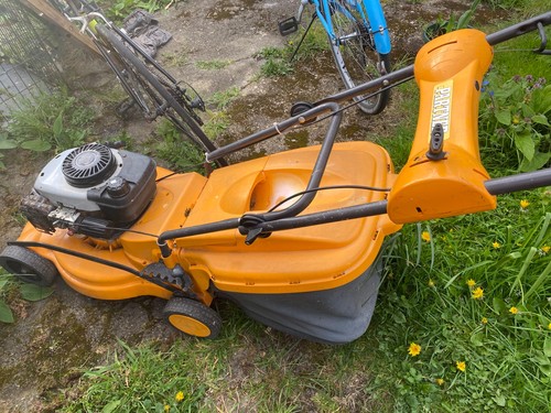 Lawn mower - lawn,