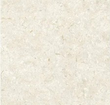 Vinyl Flooring Fossil