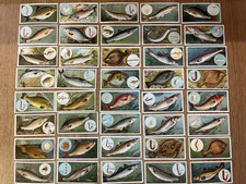 WILL'S VINTAGE CIGARETTE CARDS