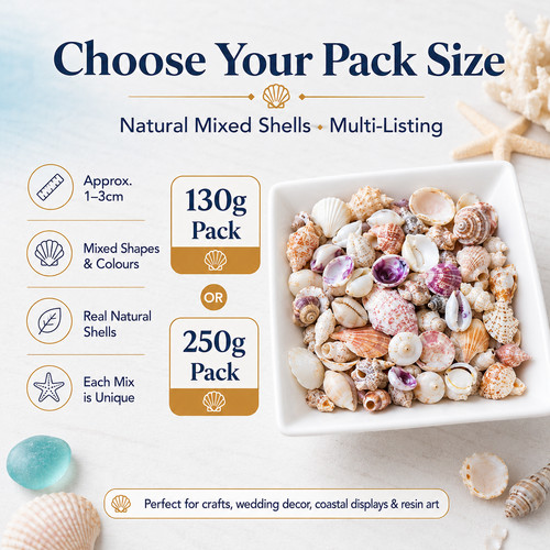 Craft shells natural - natural, beach