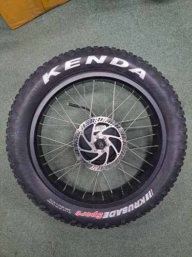 20in 36v fat rear - 20in,