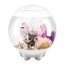BiOrb HALO 15 Aquarium Fish