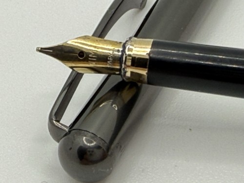 Tiffany fountain pen - &,