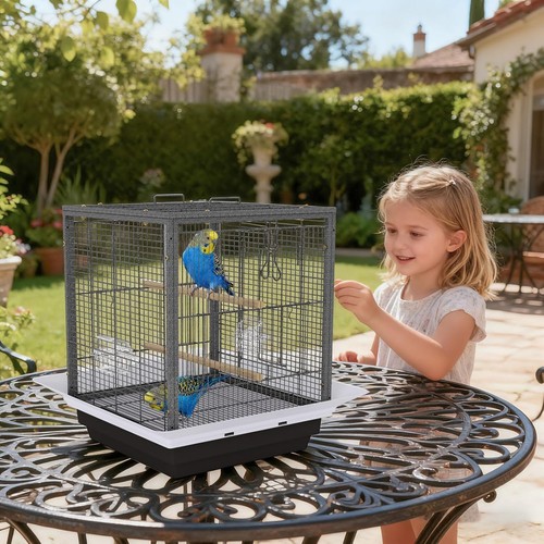 Large metal bird cage - bird,