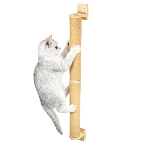 Wall mounted cat scratching - cat,