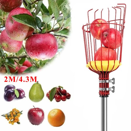 Apple picker with - apple,
