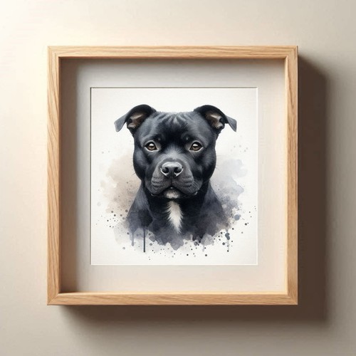 Staffordshire bull terrier - staffordshire,