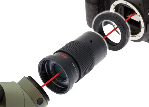 Kowa vari focal - kowa, photo