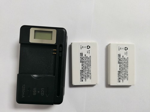 Blb charger for - +,