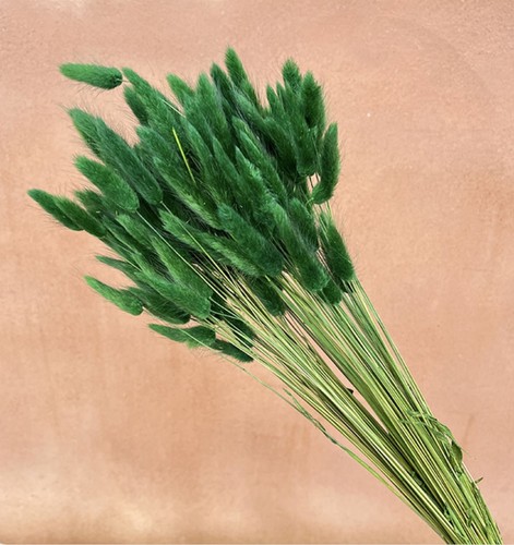 Stems forest green - stems, lagurus