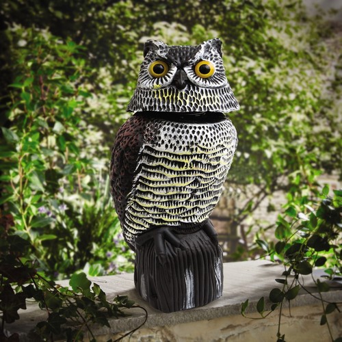Decoy owl bird scarer lifelike - bird,