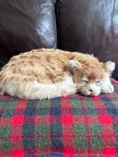 Vintage Freddy The Shipwrecked