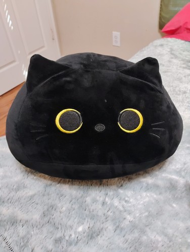 Jack the black - jack, cat