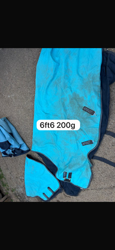 Amigo turnout rug - turnout,