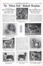 SHETLAND SHEEPDOG SHELTIE OUR DOGS 1930 ELTHAM PARK KENNEL DOG ADVERT PAGE b219