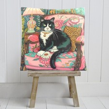 Black & White Cat Pink Chair