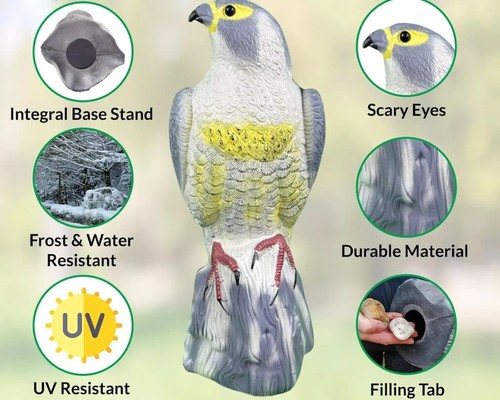 Decoy falcon bird hawk eagle - decoy,