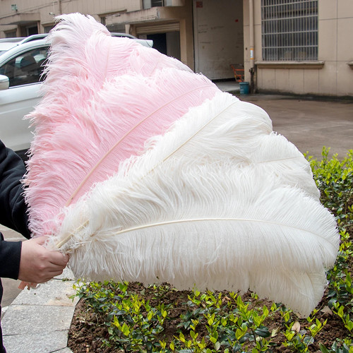 10pcs long ostrich plumes - 10pcs,