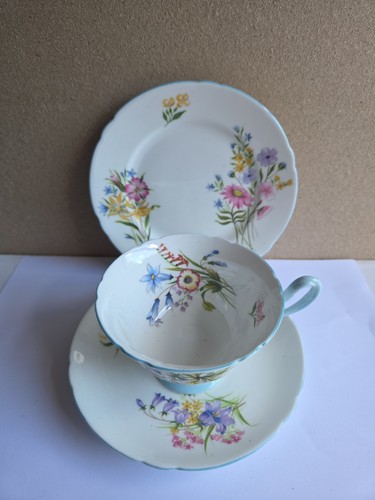 Shelley bone china wild - bone,