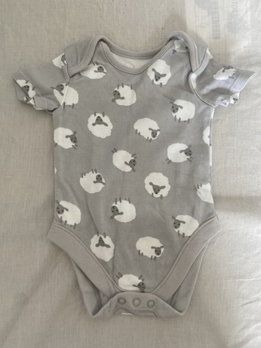 George grey sheep baby - sheep,