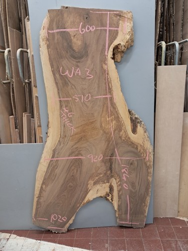 English walnut slab - walnut, live
