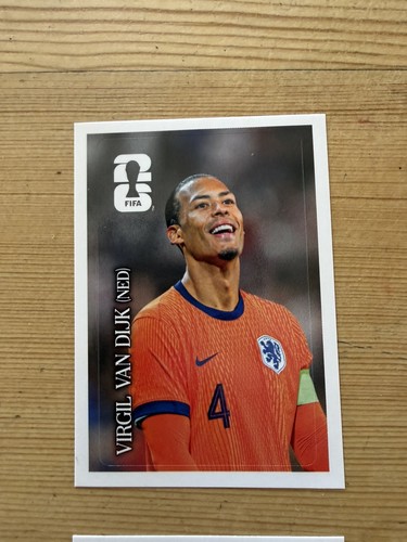 Virgil van dijk - van,