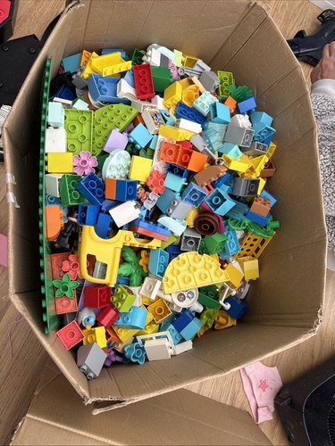 Large box duplo - large,