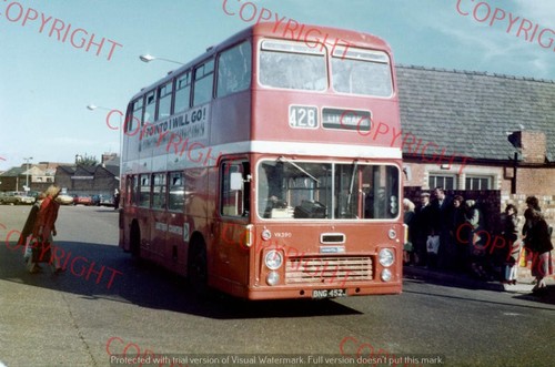 Bus photo eastern - bus,