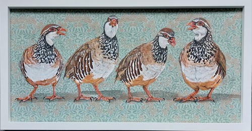 Original wild partridge bird - original,
