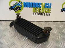 Triumph Speed Triple Oil