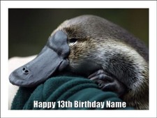 Platypus Cake Toppers Edible