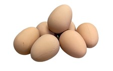 Imitation Chicken Poultry Hen Eggs (3 Pack)  Dummy Fake Eggs Helps Encourage lay