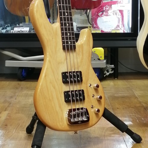 Tribute 2000 electric - g&l, l-2000