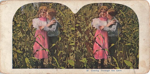 Stereoscopic view card - view, no87