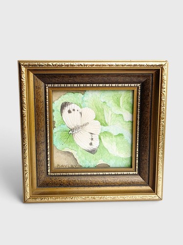 Vintage framed cabbage - vintage, white