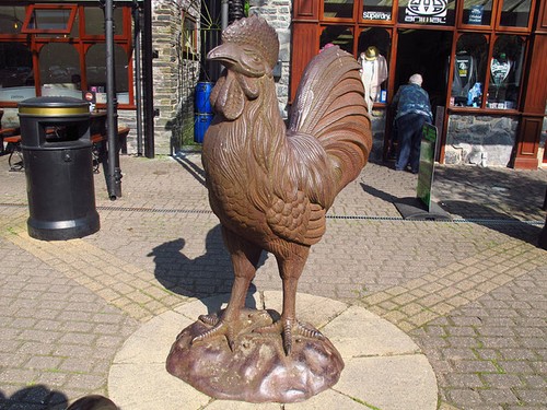 Photo 6x4 cockerel - photo, cockerel,