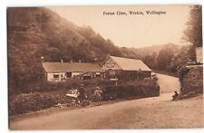 Forest Glen Wrekin Wellington Shropshire children  UNP Postcard