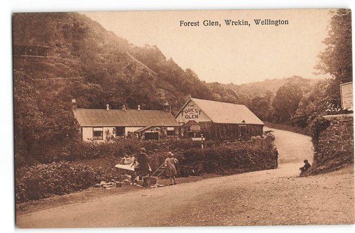 Forest glen wrekin wellington - glen,
