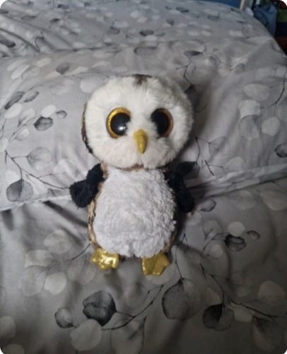 Owliver beanie boo - ty,