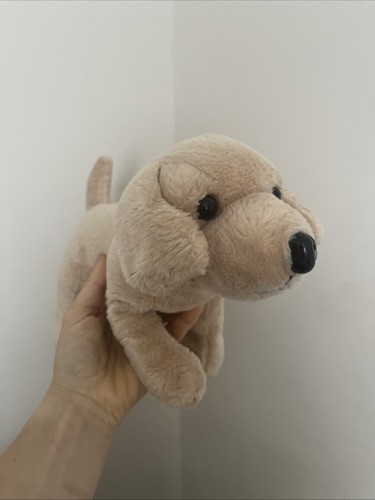 Beige labrador puppy soft - beige,