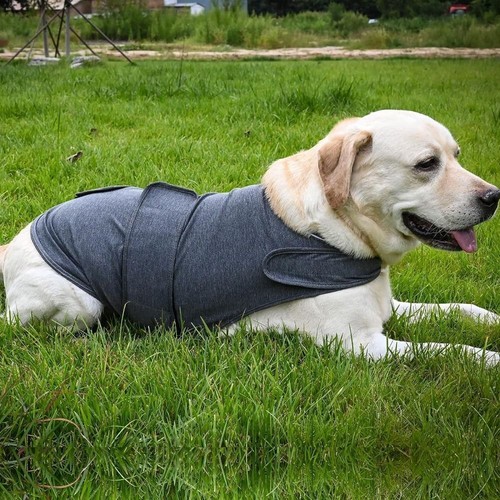 Dog anxiety jacket vest - jacket,