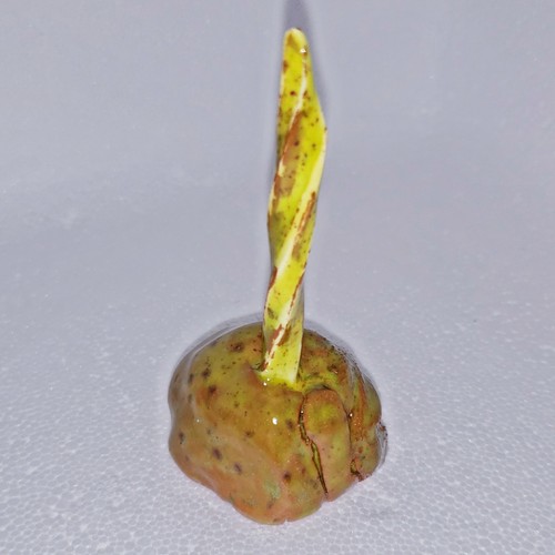 Clay food weight - food, skewer,