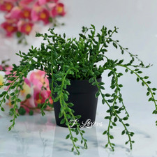 Ikea FEJKA String of beads