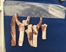 Logs For Artificial Fire  And Fake Fire Comes With Plastic Guard